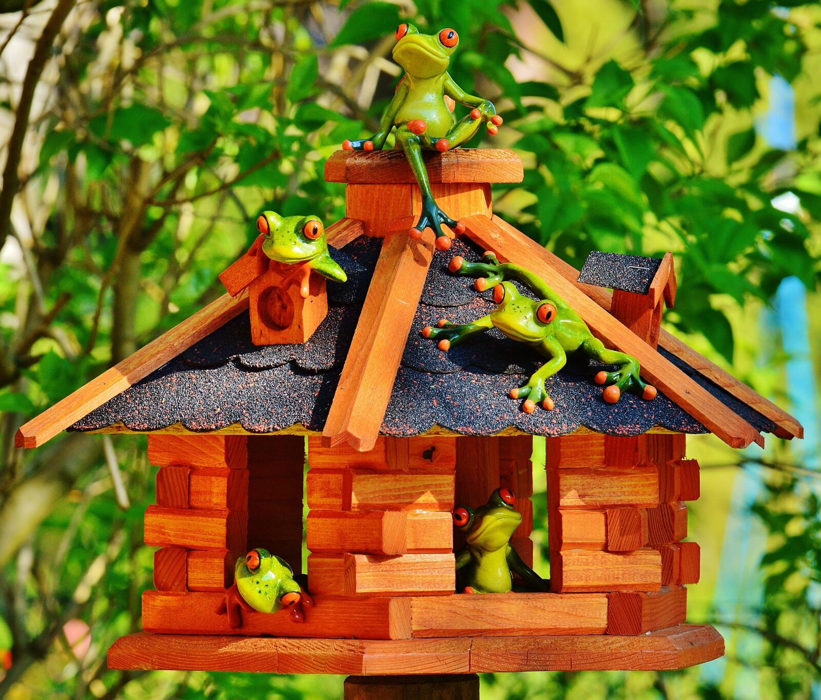 Nikon D3200 sample photo. Frogs, house, funny photography