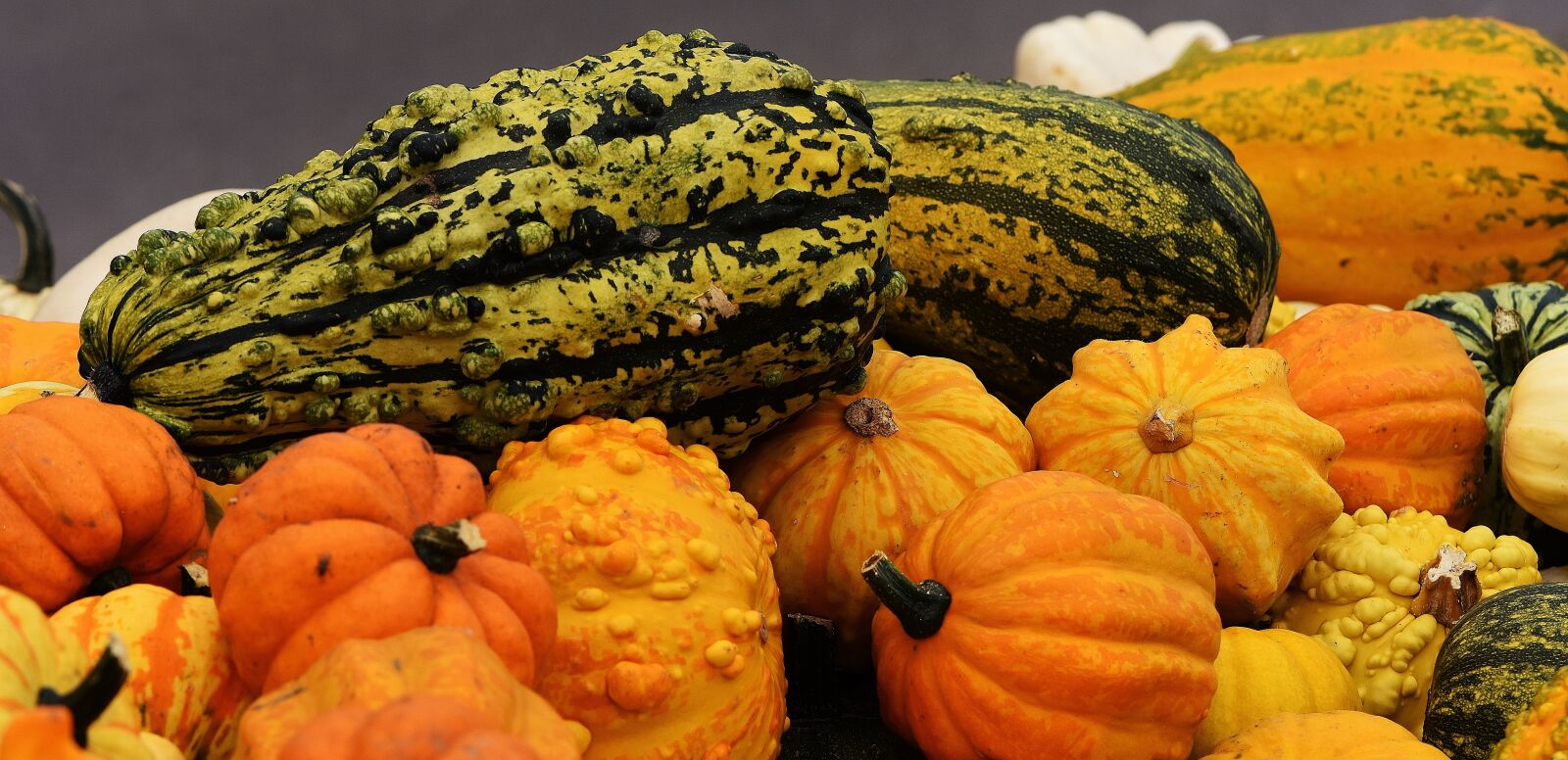 Nikon D7200 sample photo. Pumpkins, autumn, autumn decoration photography