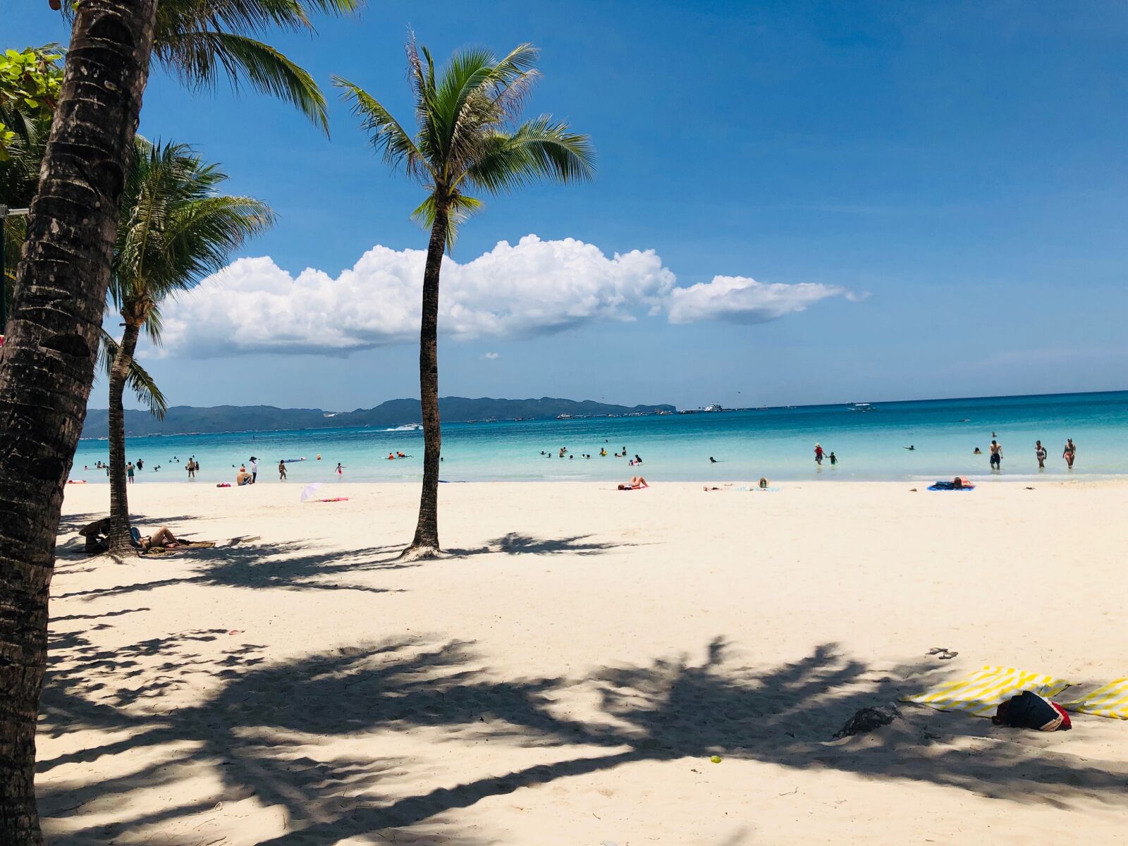 iPhone X back dual camera 4mm f/1.8 sample photo. Philippines, beach, palm photography
