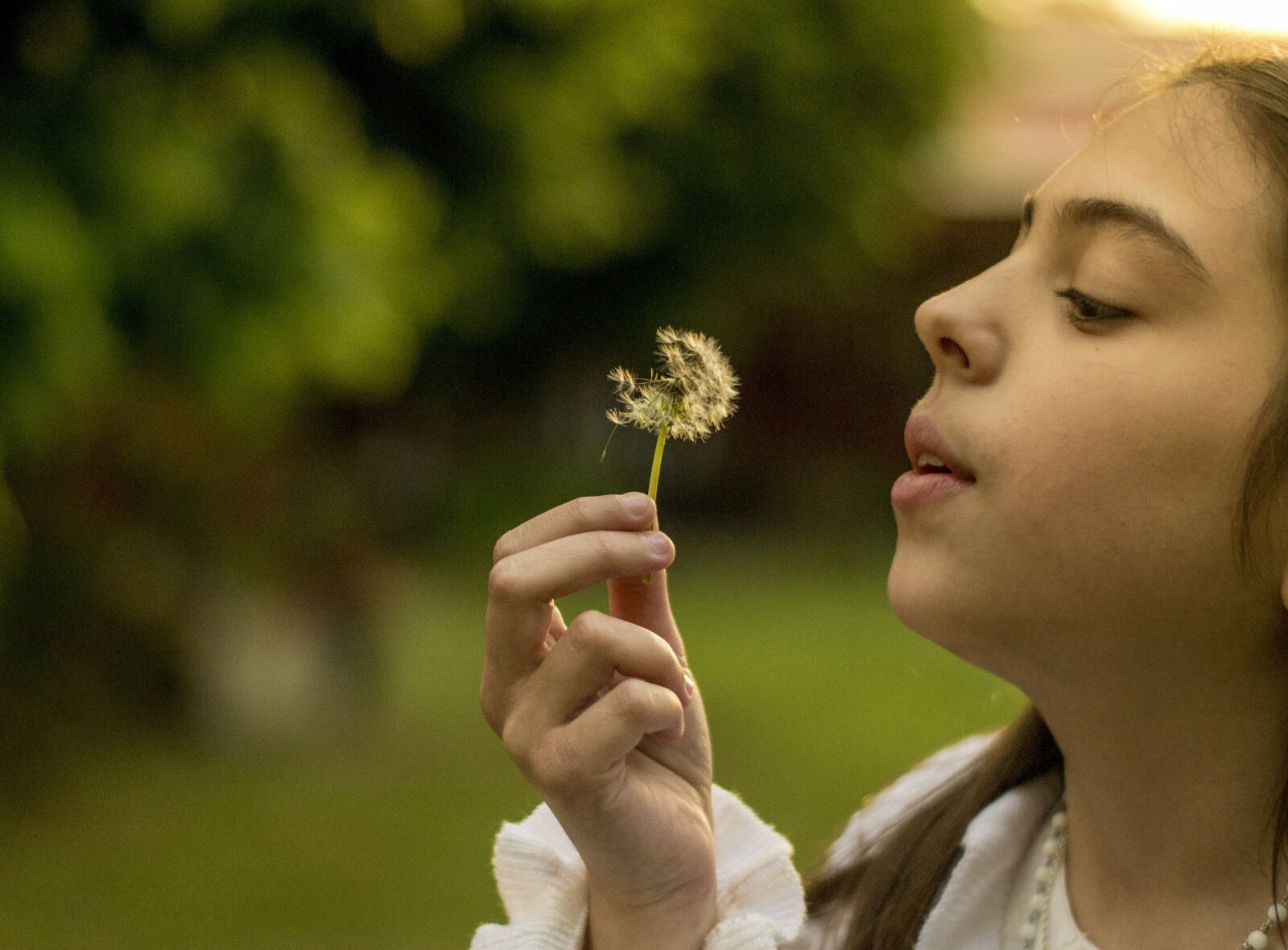 Nikon D3100 sample photo. Girl, flower, flowers photography