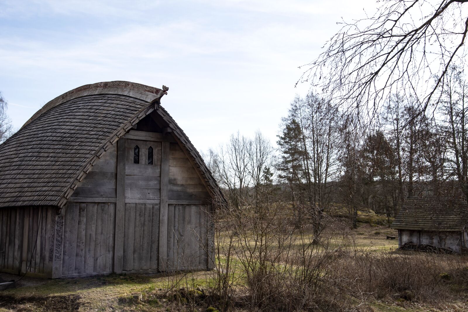 Nikon D750 sample photo. Vikingagård, story, sweden photography
