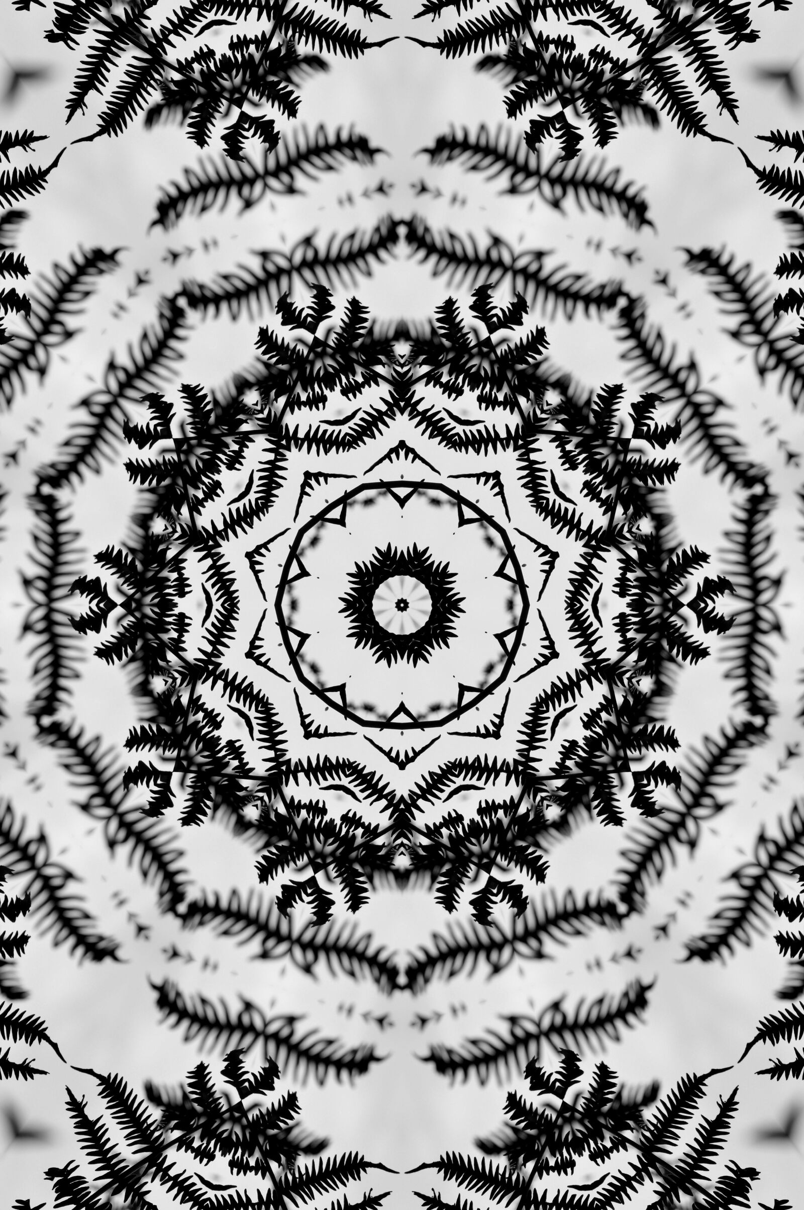 Nikon D3200 sample photo. Abstract, pattern, fractal photography