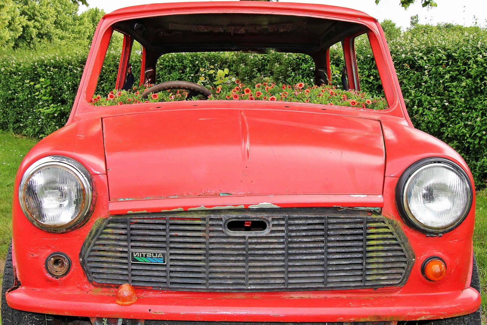 Canon EOS 550D (EOS Rebel T2i / EOS Kiss X4) sample photo. Car, oldtimer, vehicle, classic photography
