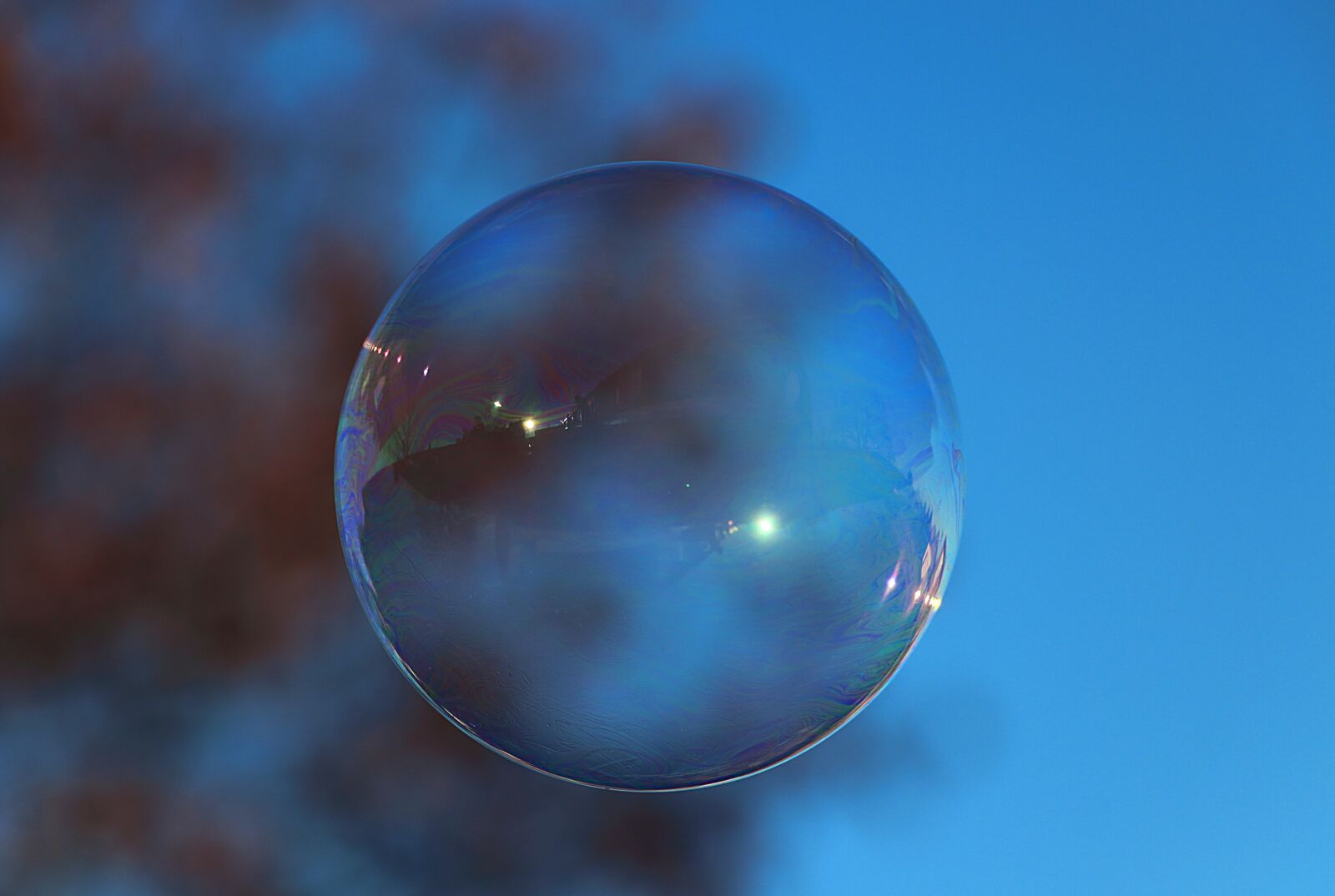 Canon EOS 700D (EOS Rebel T5i / EOS Kiss X7i) sample photo. Soap bubble, colorful, mirroring photography