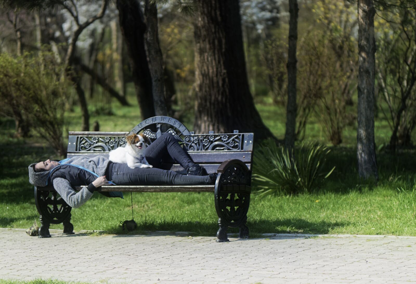 Nikon D5300 sample photo. Park, spring, nature photography