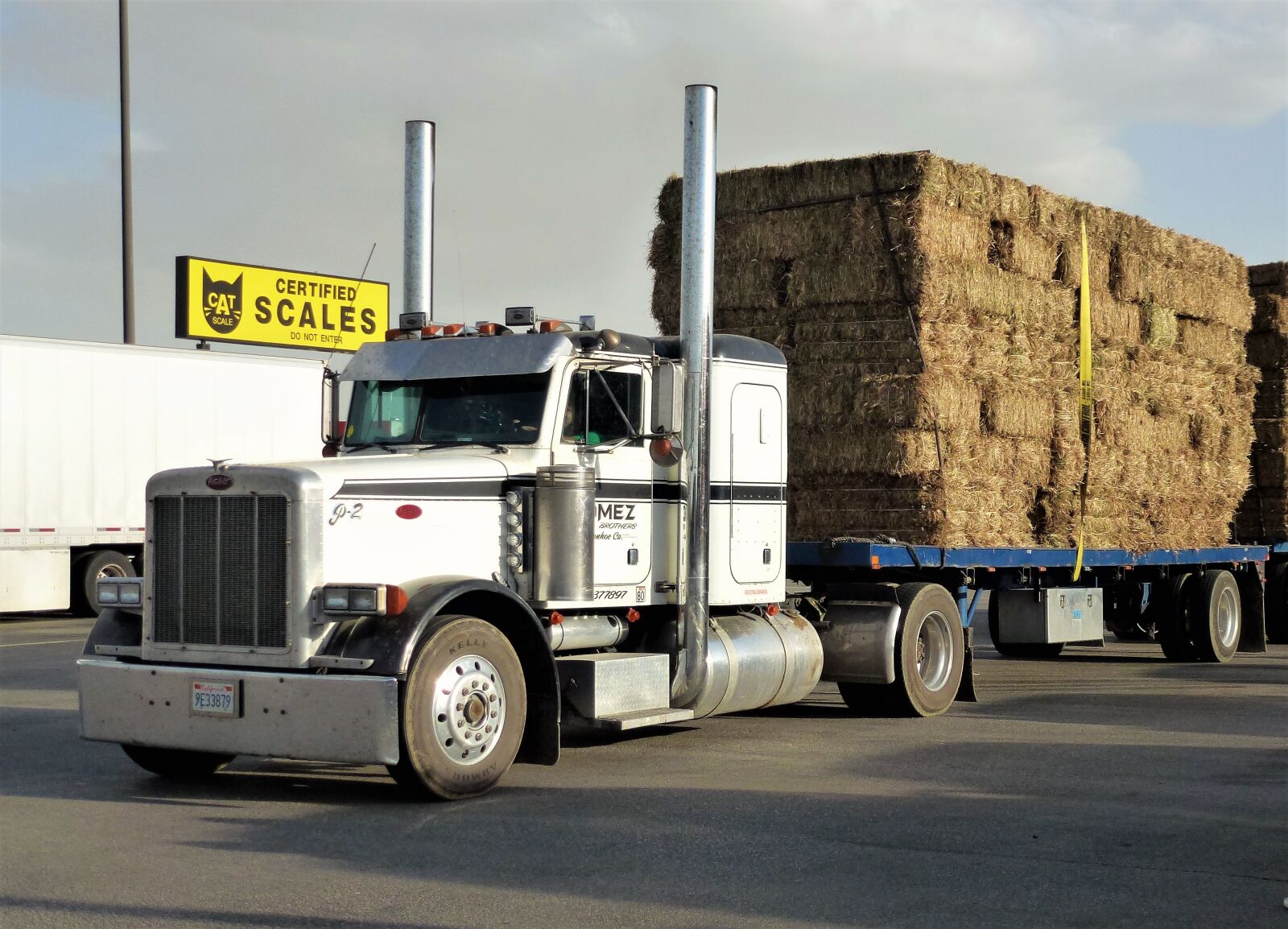 Panasonic Lumix DMC-ZS10 (Lumix DMC-TZ20 / Lumix DMC-TZ22) sample photo. Usa, transport, truck american photography