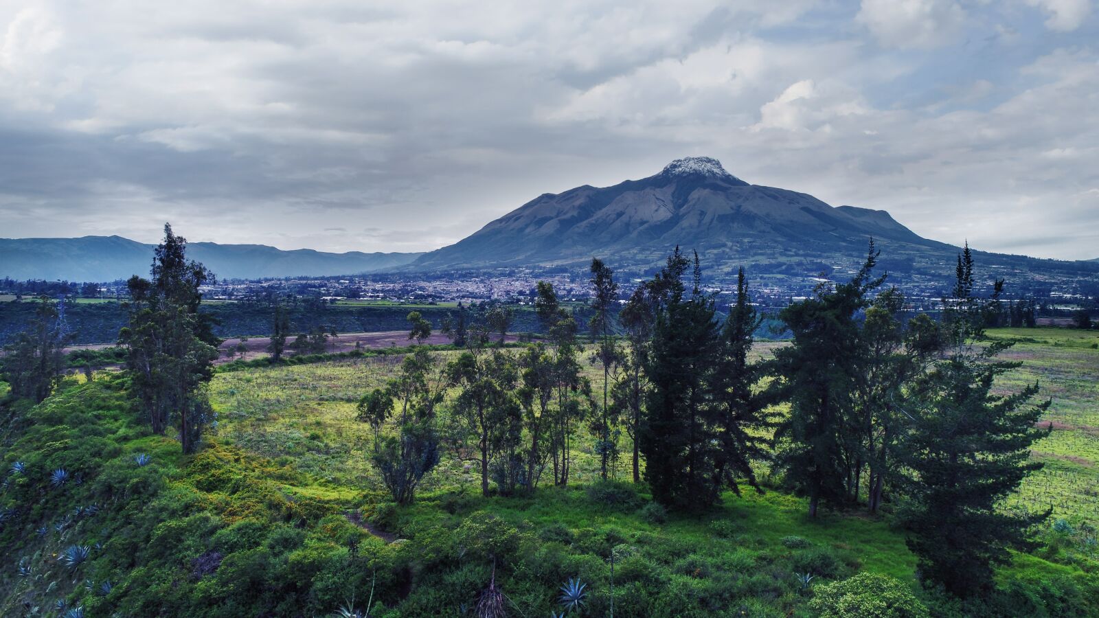 DJI FC6310 sample photo. Pine, green, imbabura photography