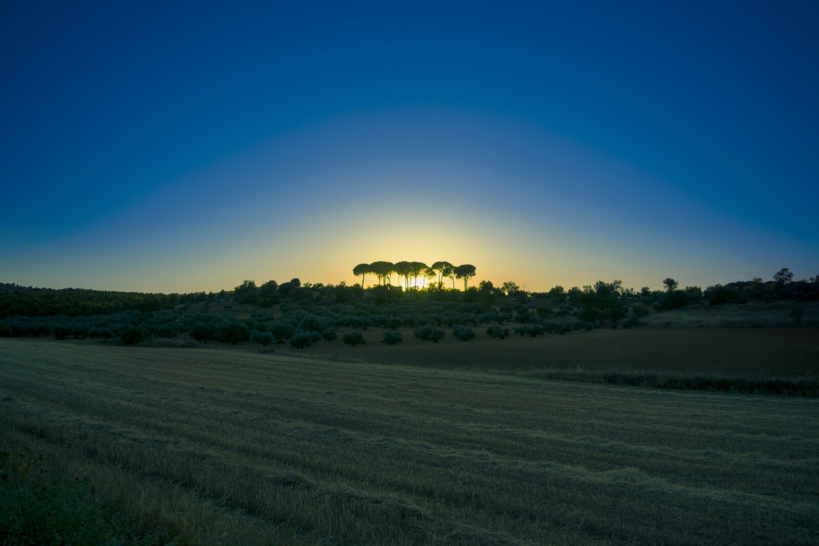 Nikon D5200 sample photo. Rural, landscape, nature photography