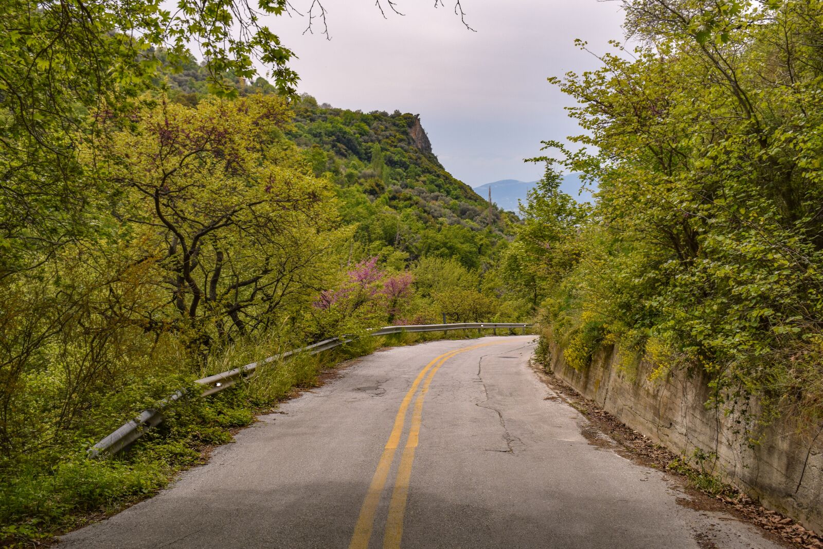 Nikon D3300 sample photo. Road, scenery, trees photography