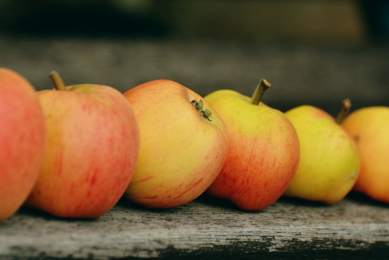 Nikon D5200 sample photo. Apple, goldparmäne, fruit photography
