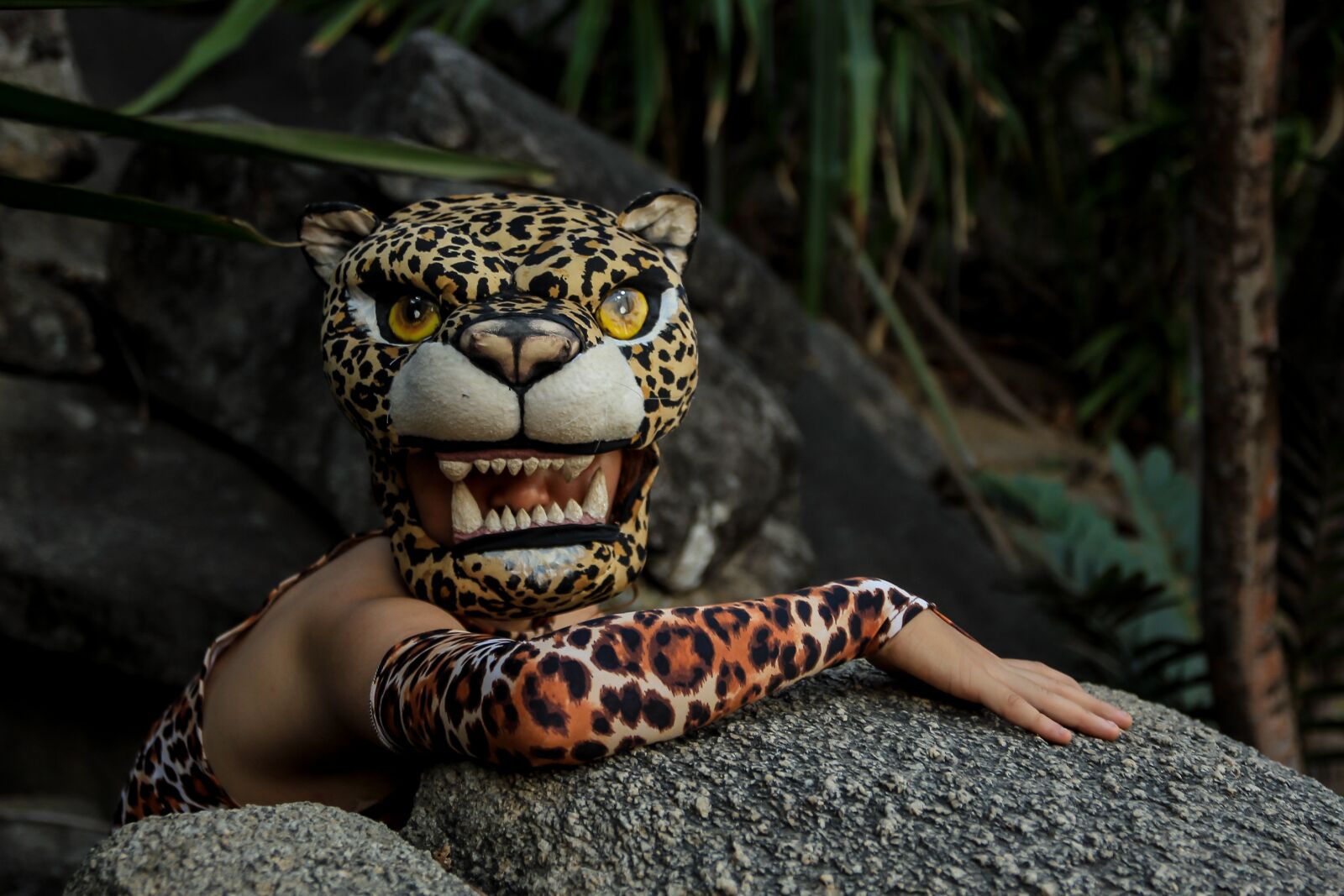 Canon EOS 700D (EOS Rebel T5i / EOS Kiss X7i) sample photo. Jaguar, rocks, animal photography
