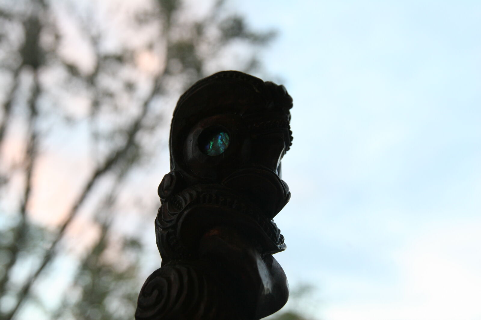 Canon EOS 20D sample photo. Light, maori, sculpture, silhouette photography