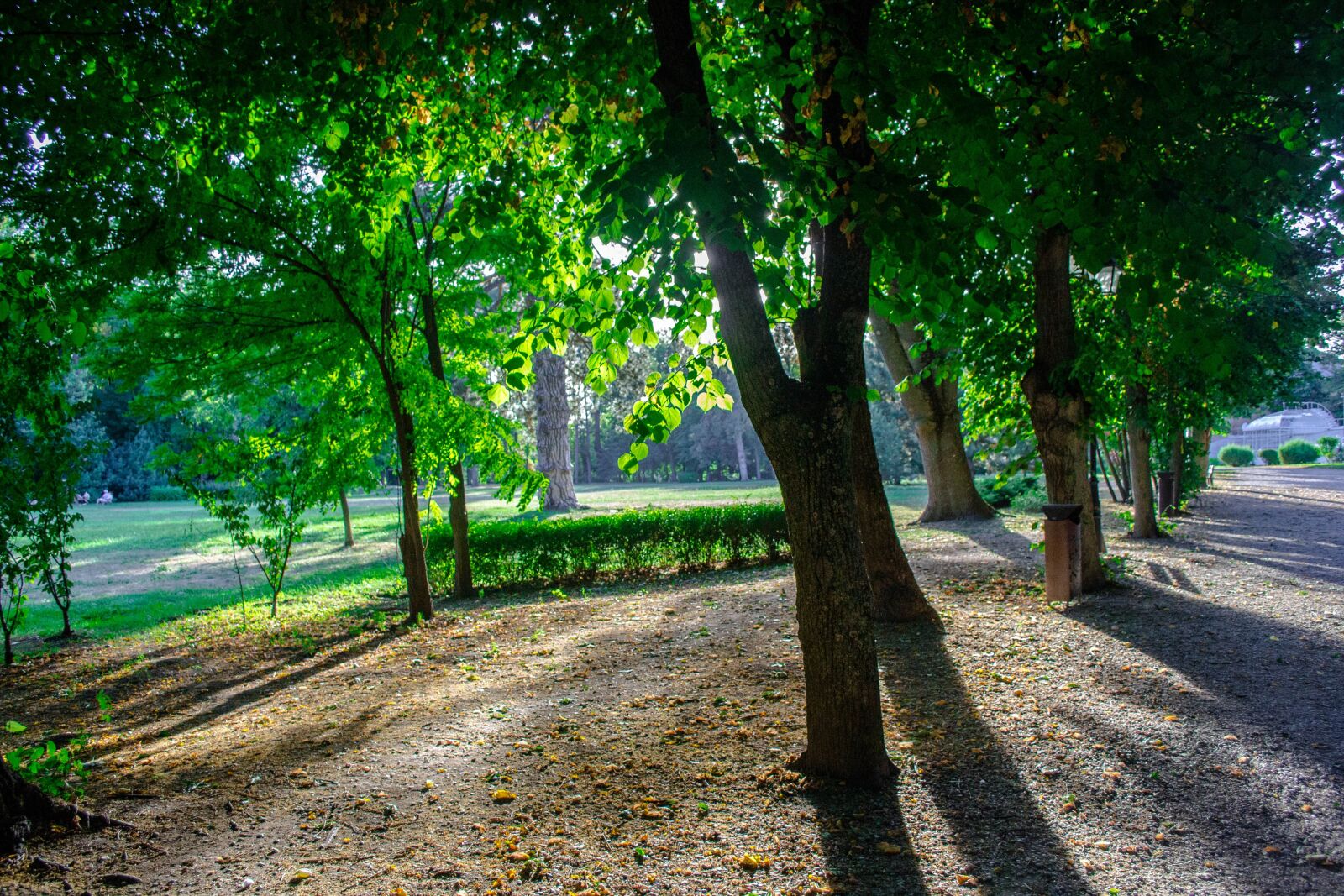 Nikon D3100 sample photo. Mogosoaia, palace, romania photography