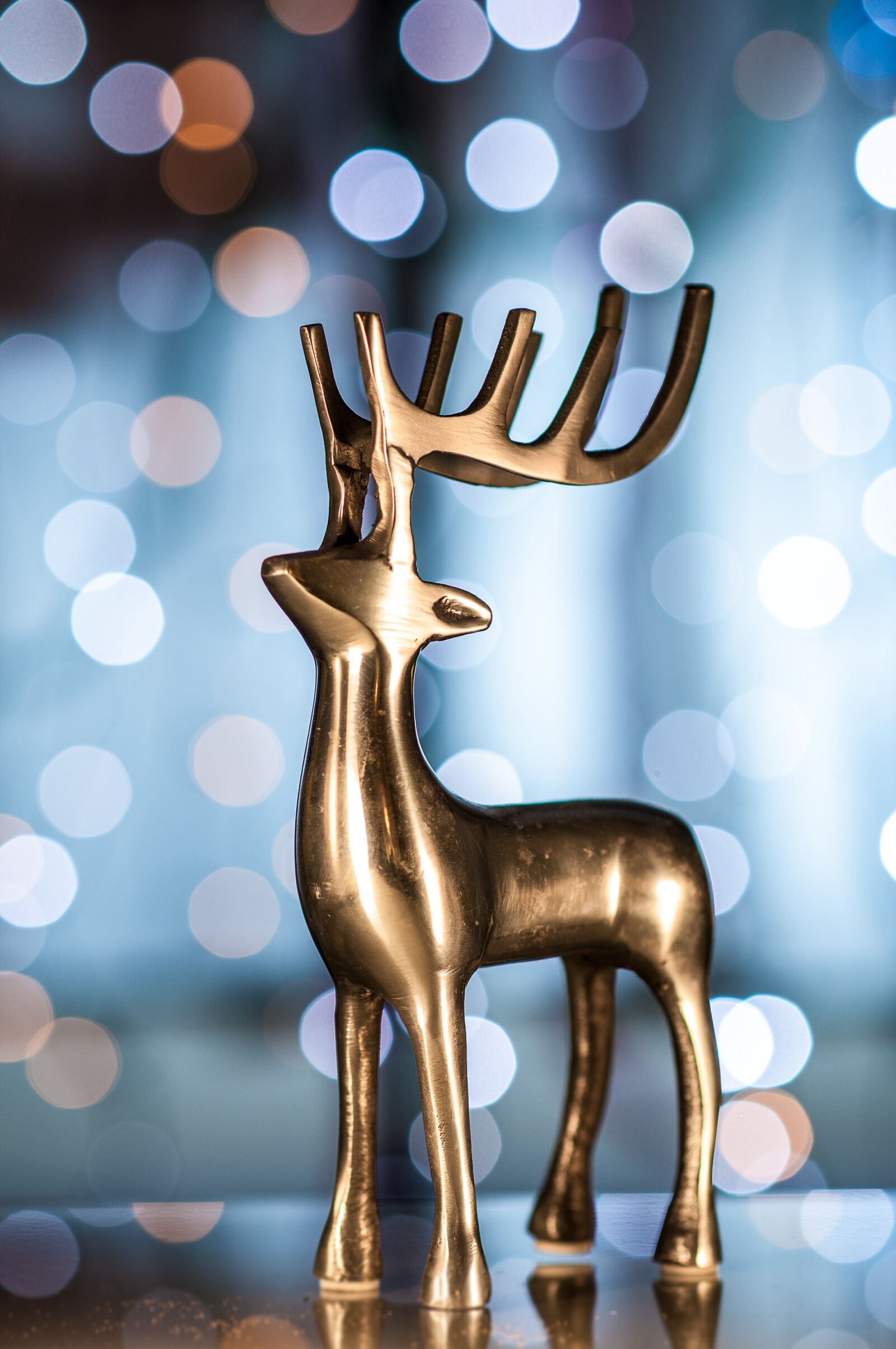 Nikon D300S sample photo. Background, christmas, decoration photography