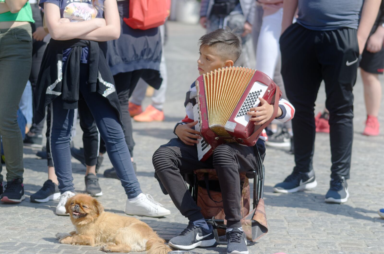 Nikon D5100 sample photo. Child, boy, talent photography
