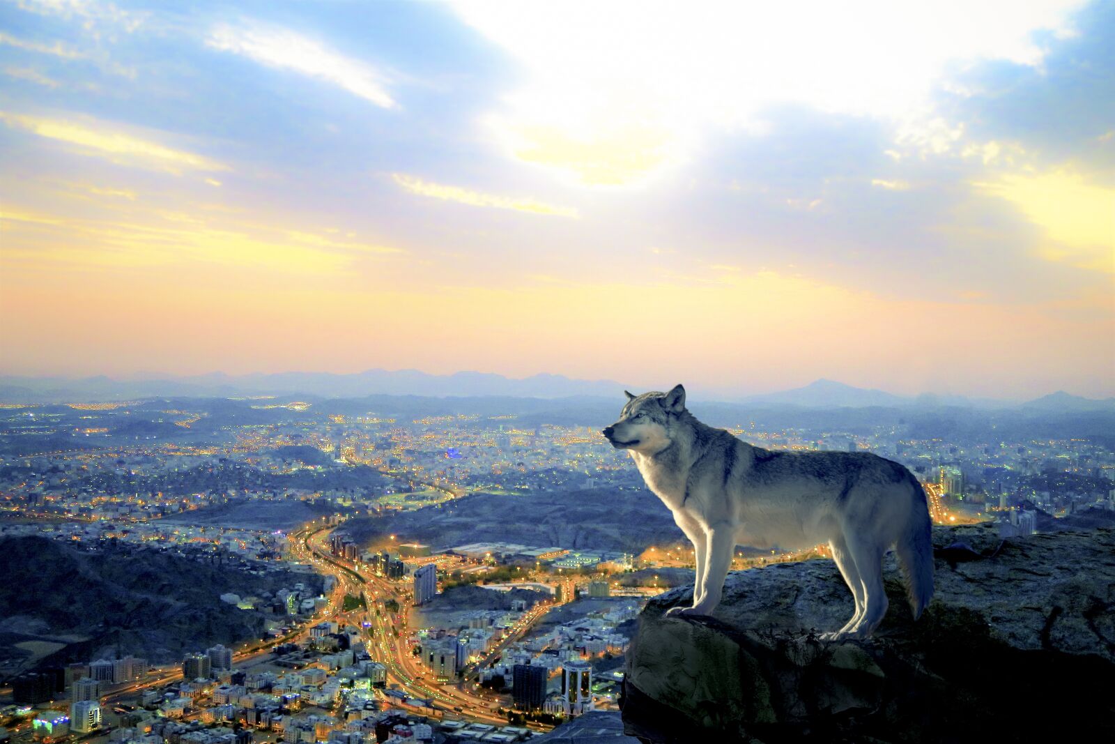 Canon PowerShot G7 X sample photo. Evening, city, wolf photography