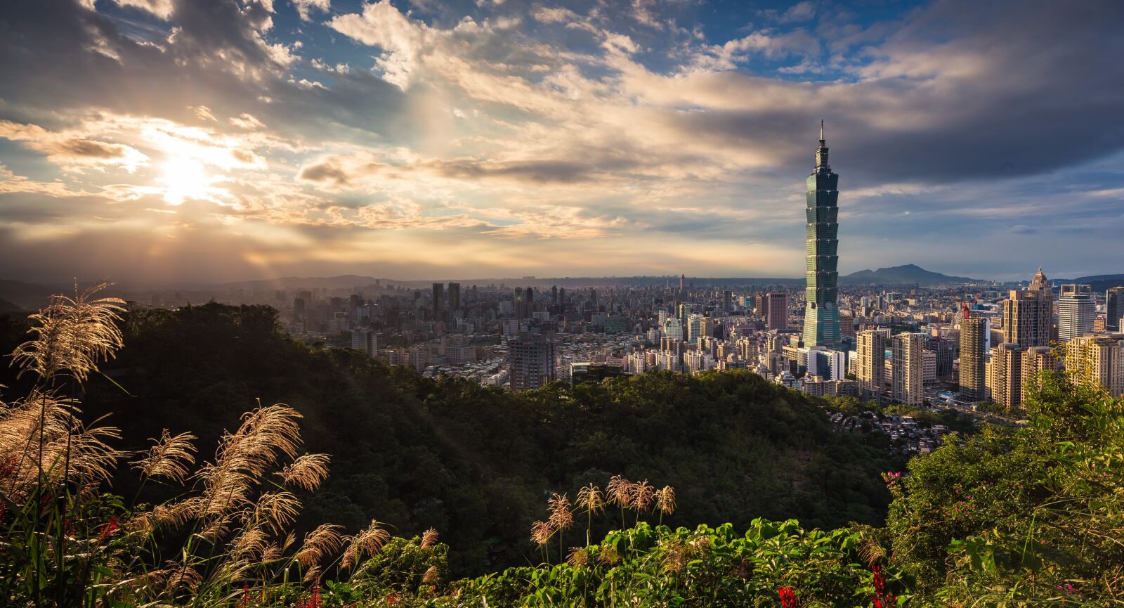 Canon TS-E 24mm F3.5L II Tilt-Shift sample photo. Buildings, taiwan, taipei 101 photography