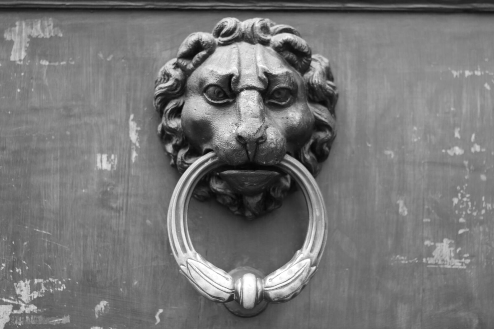 Canon EOS 70D + Canon EF 50mm F1.8 II sample photo. Black, and, white, door photography