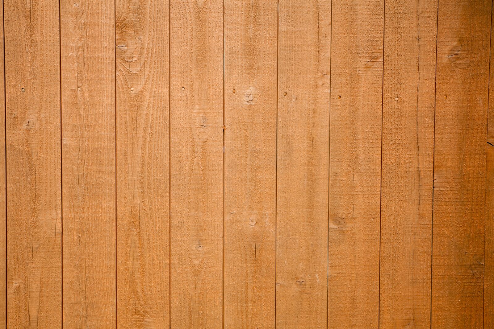 Canon EOS 5D sample photo. Wood, damme, wall photography