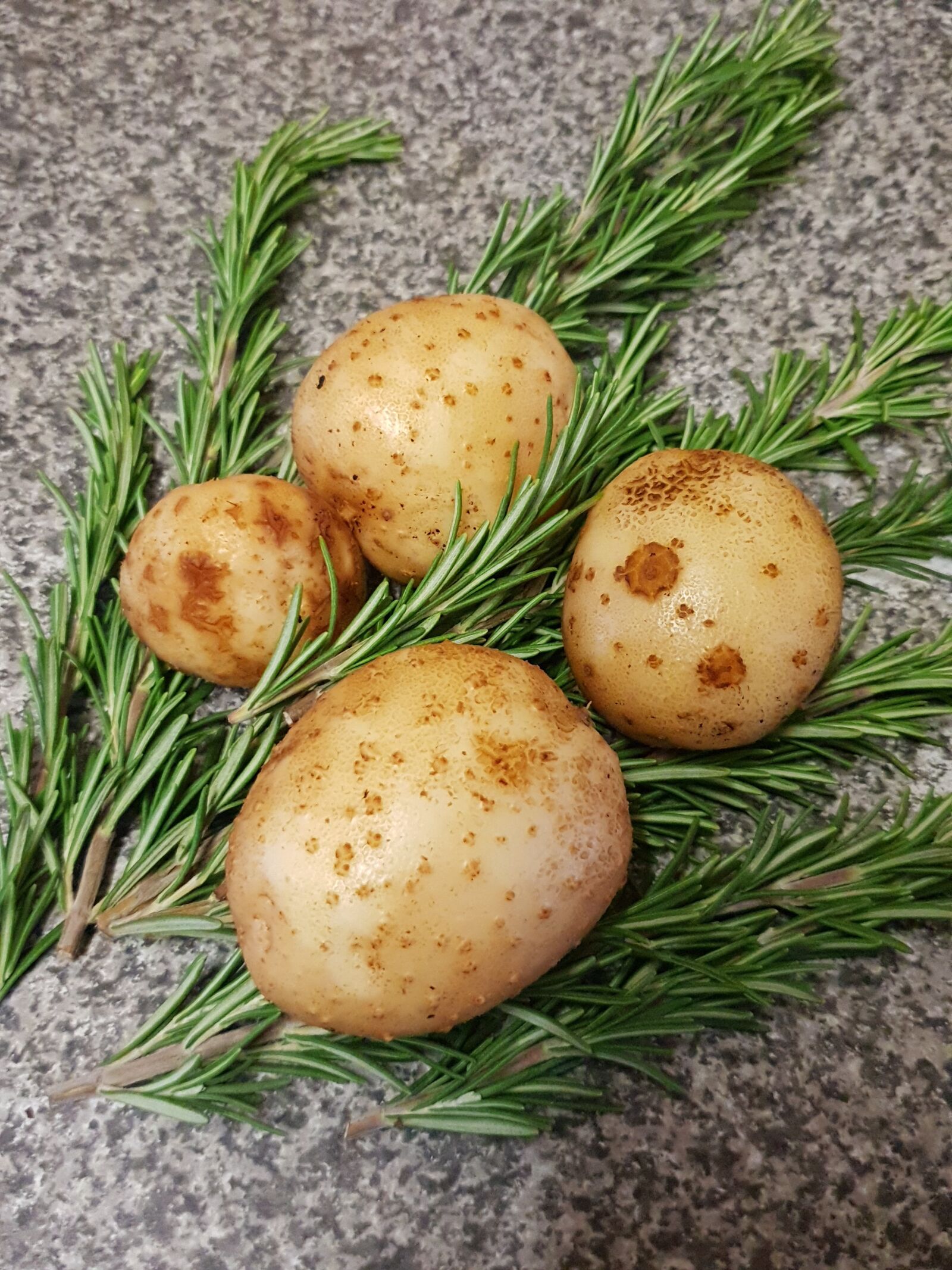 Samsung Galaxy S9+ sample photo. Garden, potatoes, rosemary photography