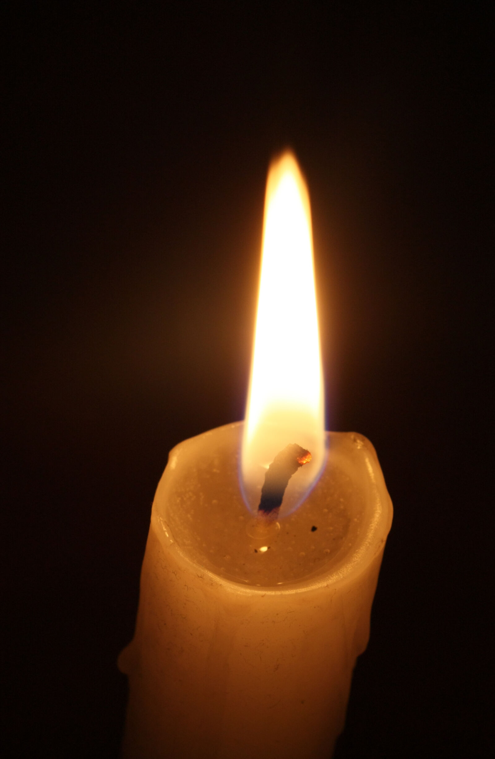 Canon EOS 450D (EOS Rebel XSi / EOS Kiss X2) sample photo. Candle photography