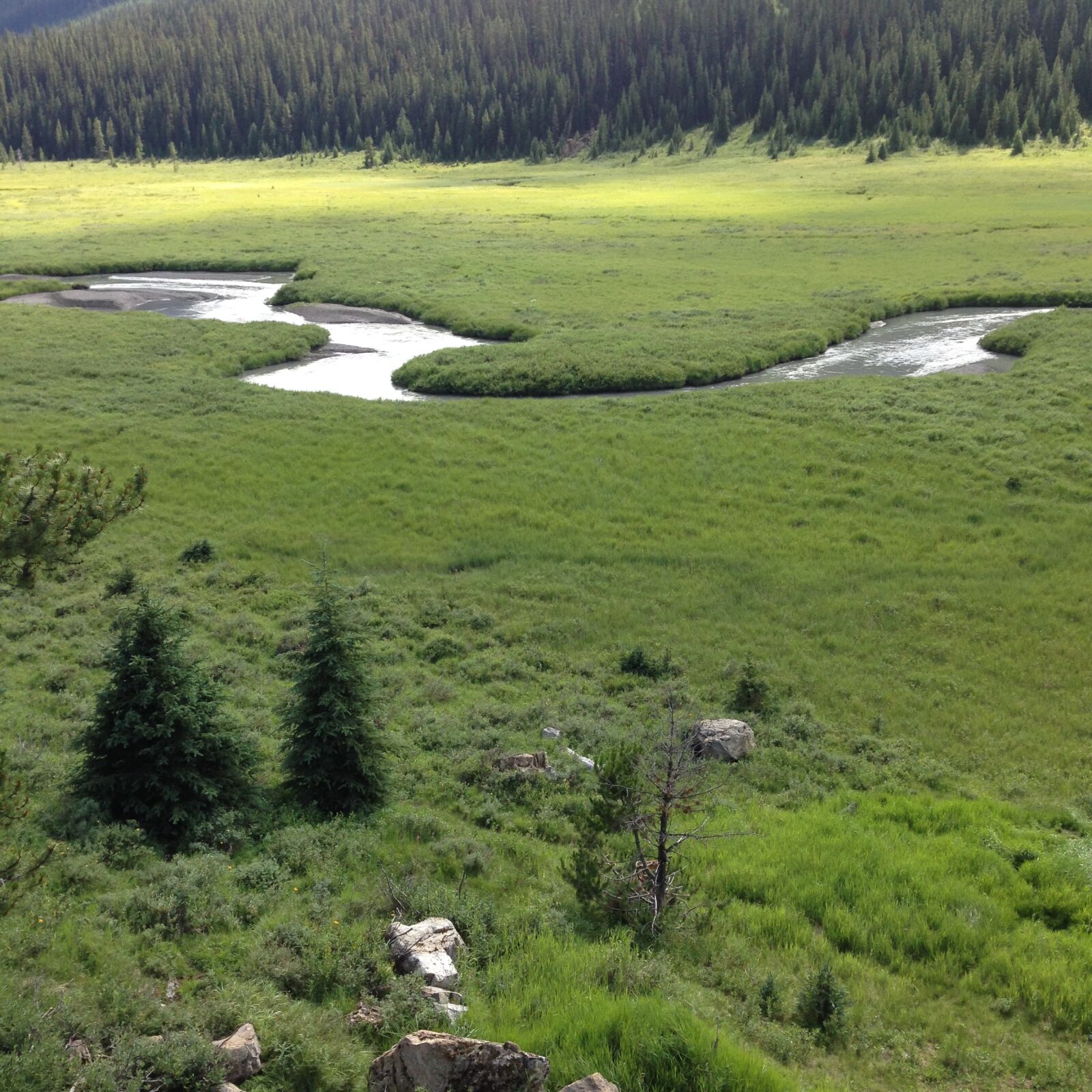 Apple iPhone 5c sample photo. Mountain, meadow, stream, summer photography