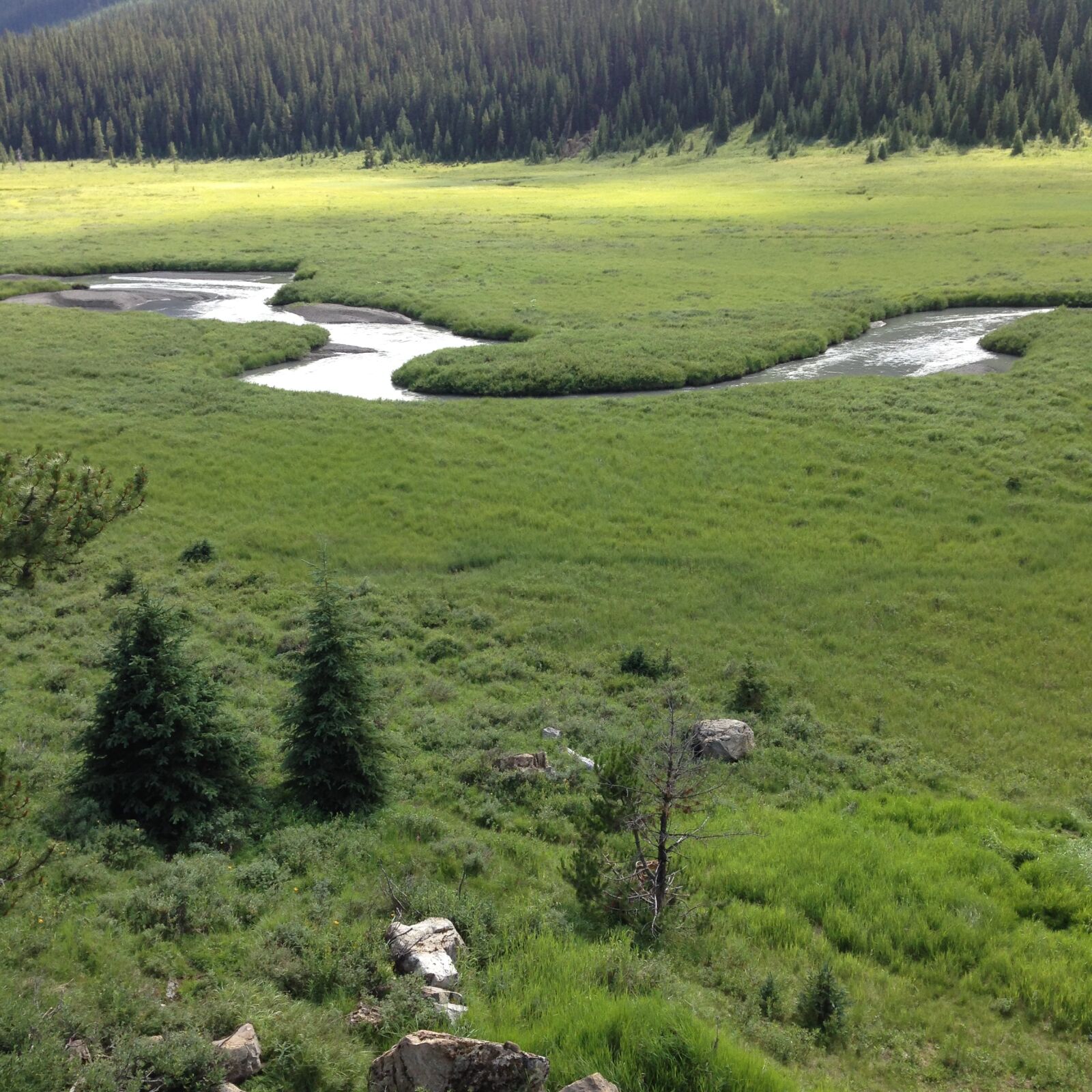 iPhone 5c back camera 4.12mm f/2.4 sample photo. Mountain, meadow, stream, summer photography