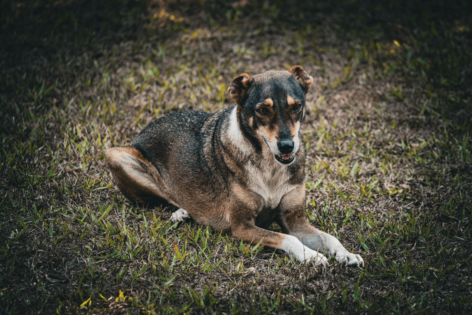 Canon EOS R6 II sample photo