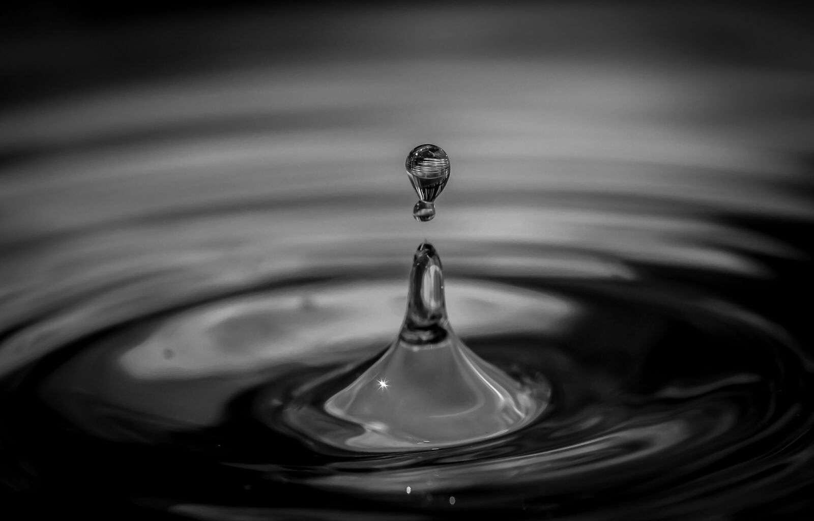 Canon EOS 550D (EOS Rebel T2i / EOS Kiss X4) sample photo. Black and white, drop photography