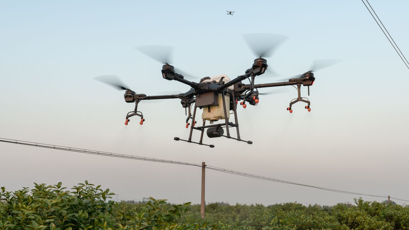 Sony FE 16-35mm F2.8 GM sample photo. Dji, uav, plant protection photography