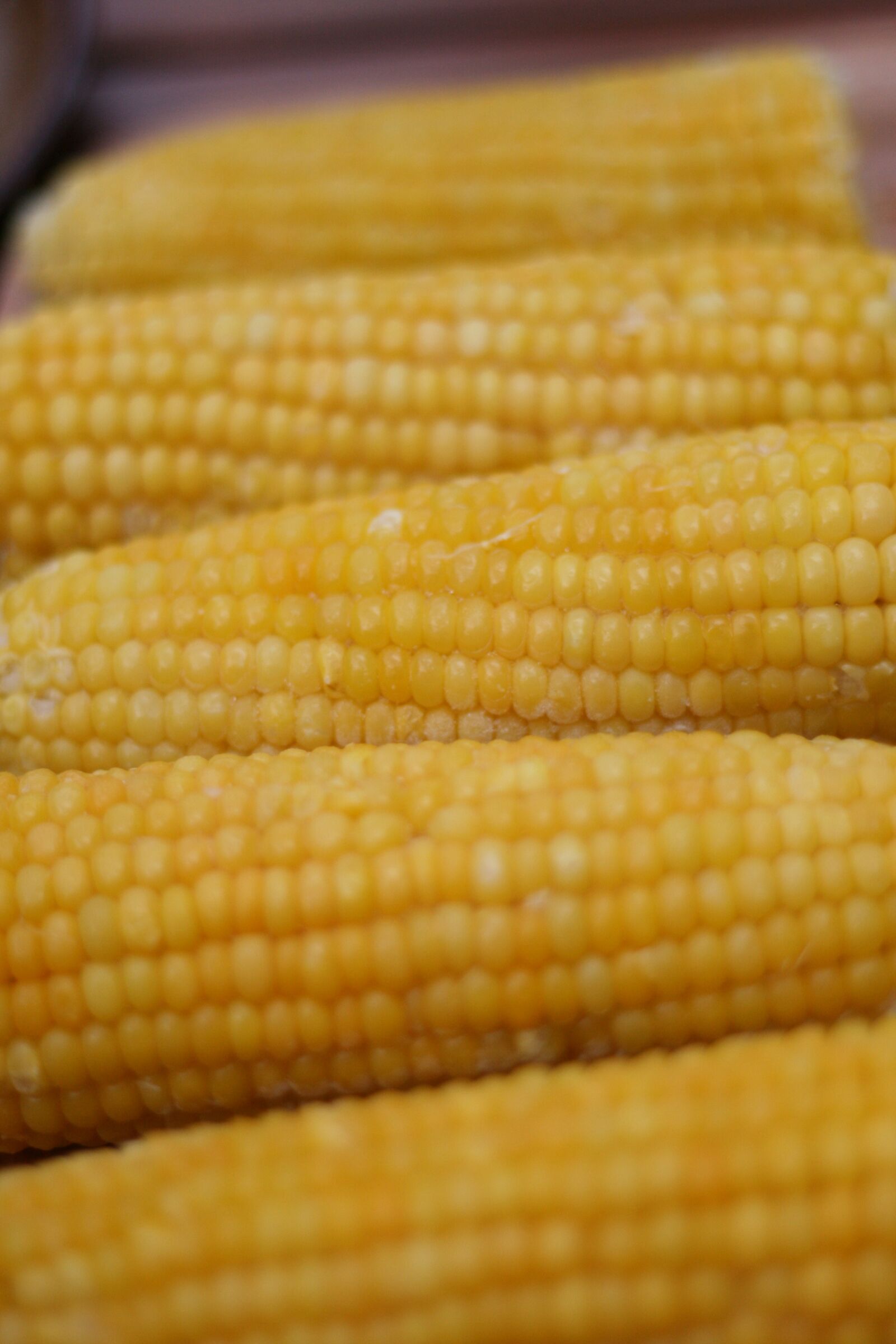 Canon EOS 400D (EOS Digital Rebel XTi / EOS Kiss Digital X) sample photo. Corn, summer, agriculture photography