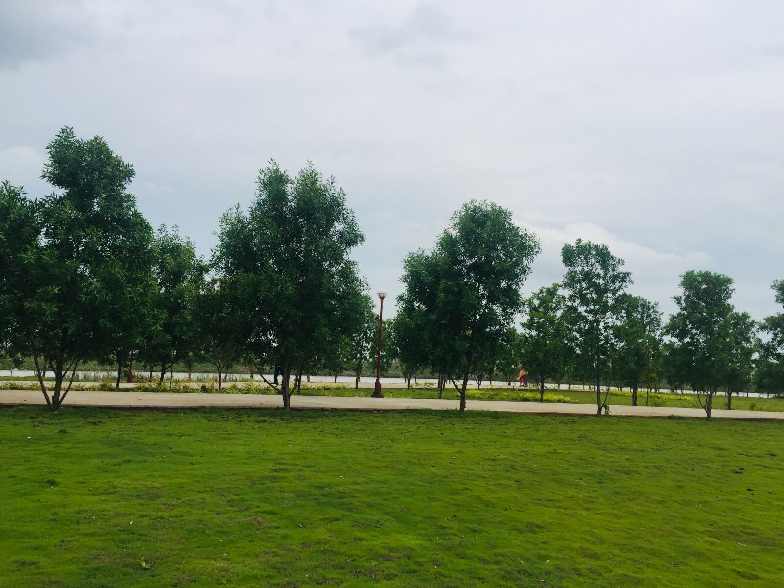 iPhone 6 Plus back camera 4.15mm f/2.2 sample photo. Park, beach park, green photography
