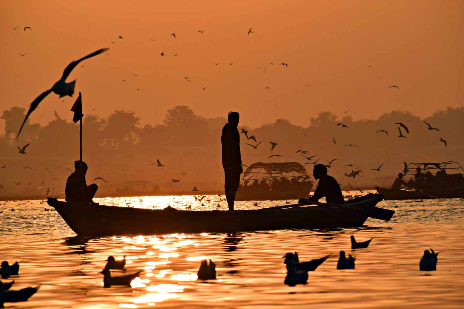 Nikon D3300 sample photo. Sunset, boat, birds photography