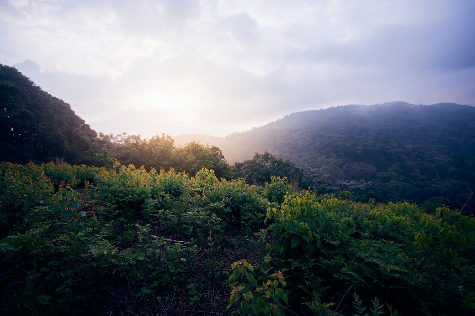 Nikon D7200 sample photo. Mountain, sun, landscape photography