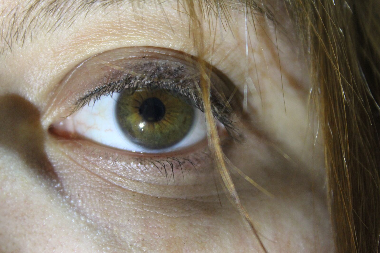 Canon EOS 600D (Rebel EOS T3i / EOS Kiss X5) sample photo. Deep eyes, green, eyes photography