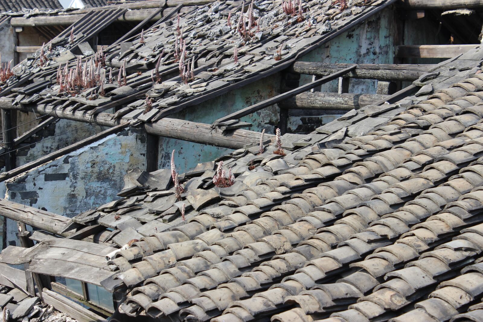 Canon EOS 600D (Rebel EOS T3i / EOS Kiss X5) sample photo. Architecture, historically, building photography