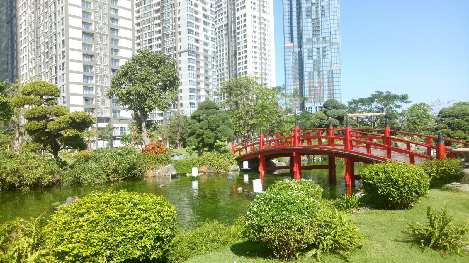 OPPO A1601 sample photo. Garden, tree, nature photography
