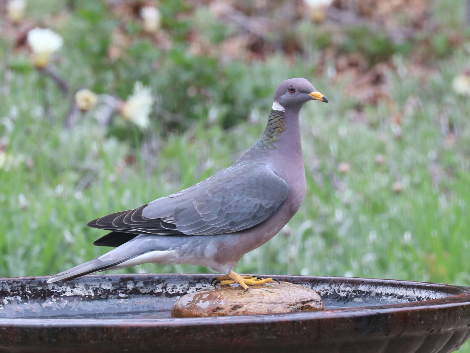 Canon EOS 750D (EOS Rebel T6i / EOS Kiss X8i) sample photo