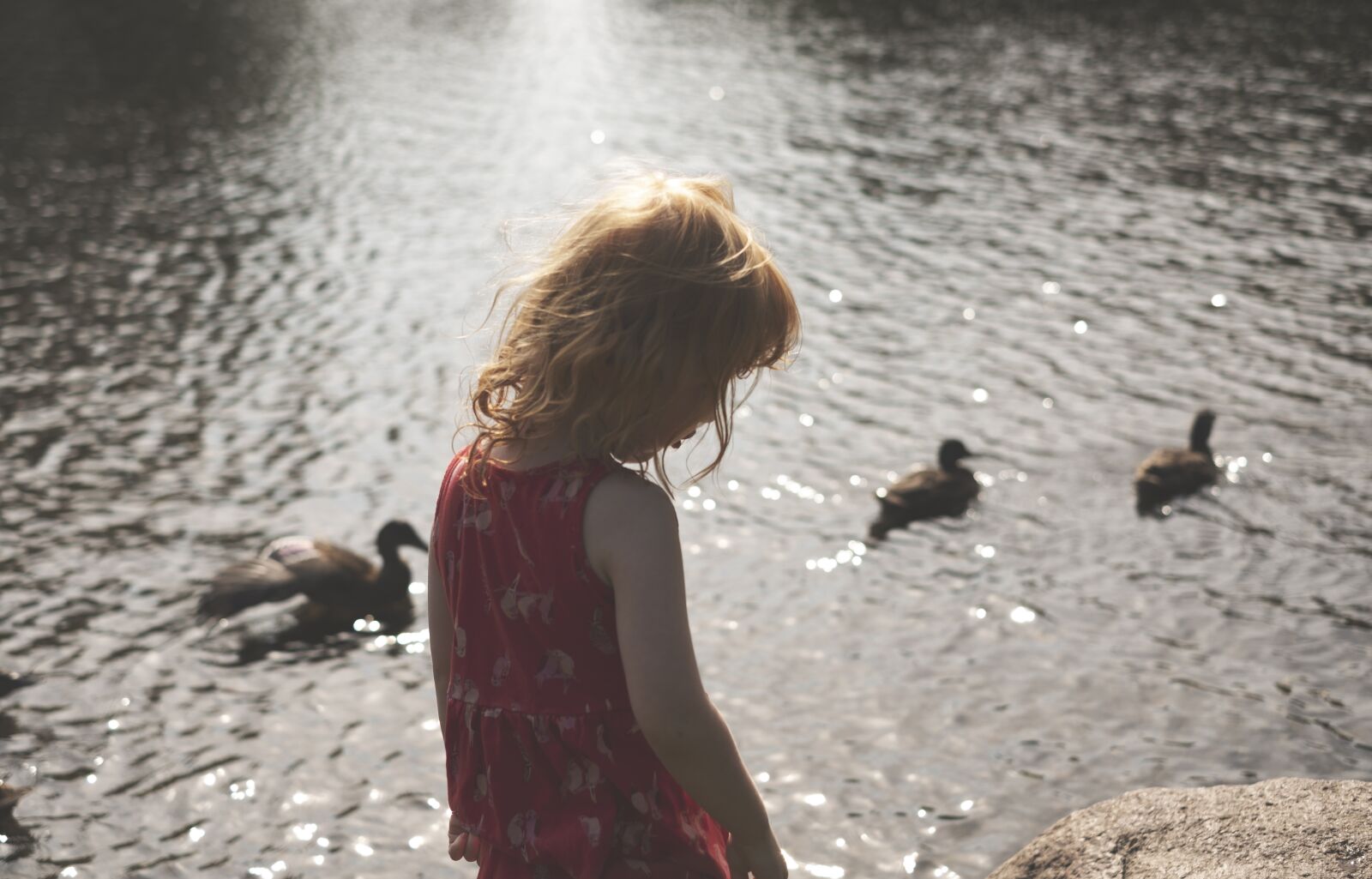 Fujifilm XF 35mm F1.4 R sample photo. Summer, girl, red hair photography