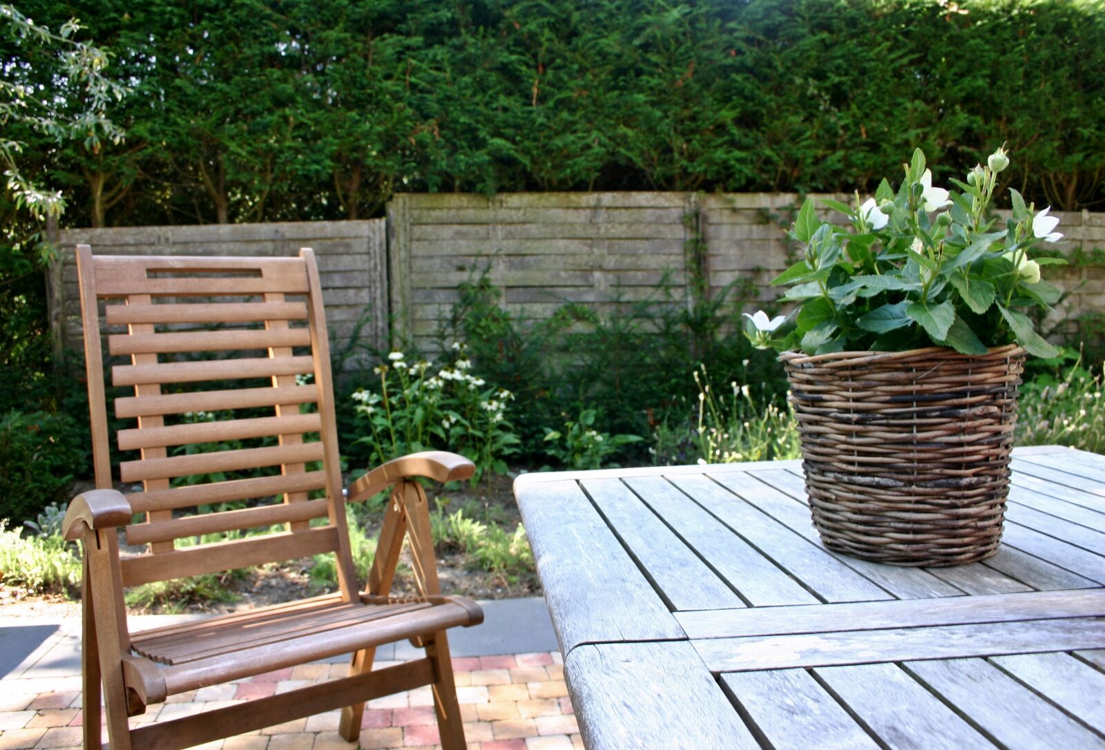 Canon EOS 300D (EOS Digital Rebel / EOS Kiss Digital) sample photo. Garden, garden furniture, garden photography
