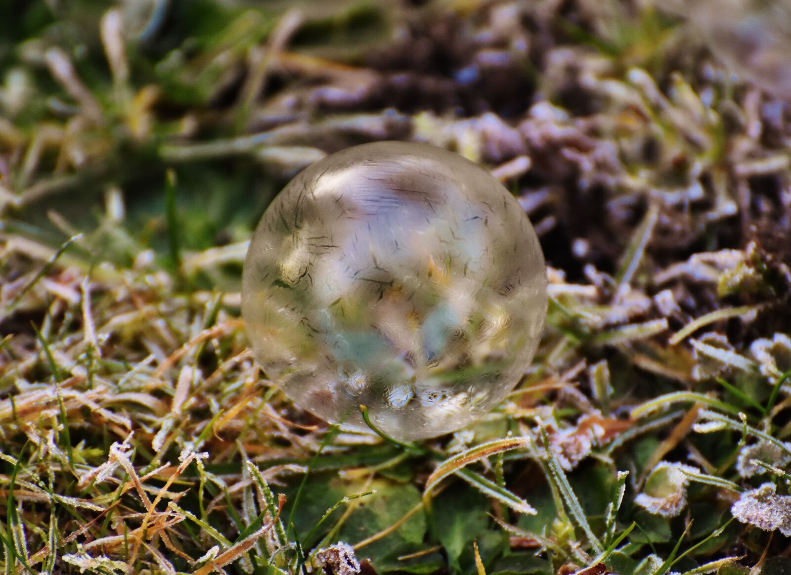 Nikon D7200 sample photo. Soap bubble, frozen, winter photography