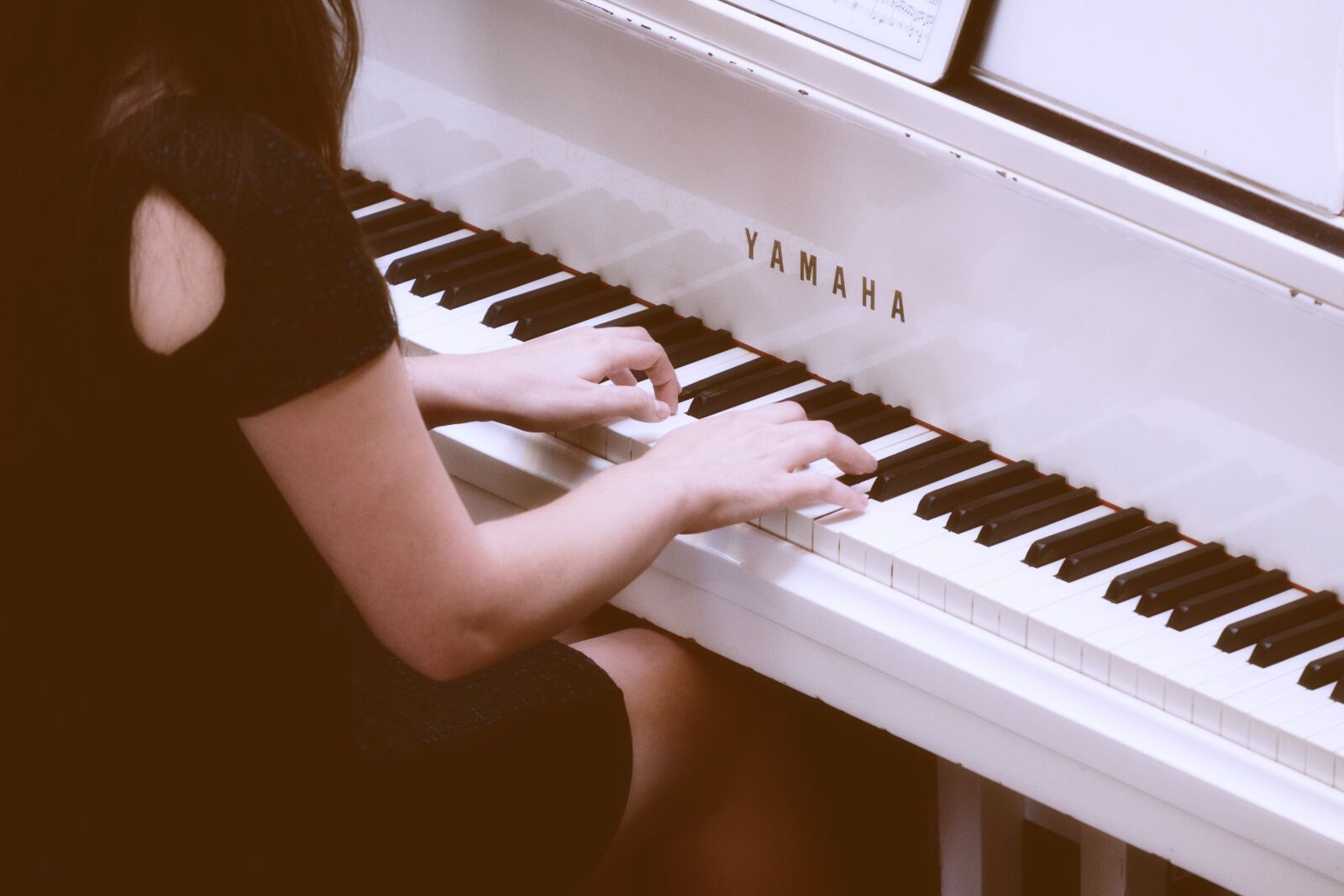 Fujifilm X-T2 + Fujifilm XF 55-200mm F3.5-4.8 R LM OIS sample photo. Wing, piano, instrument photography
