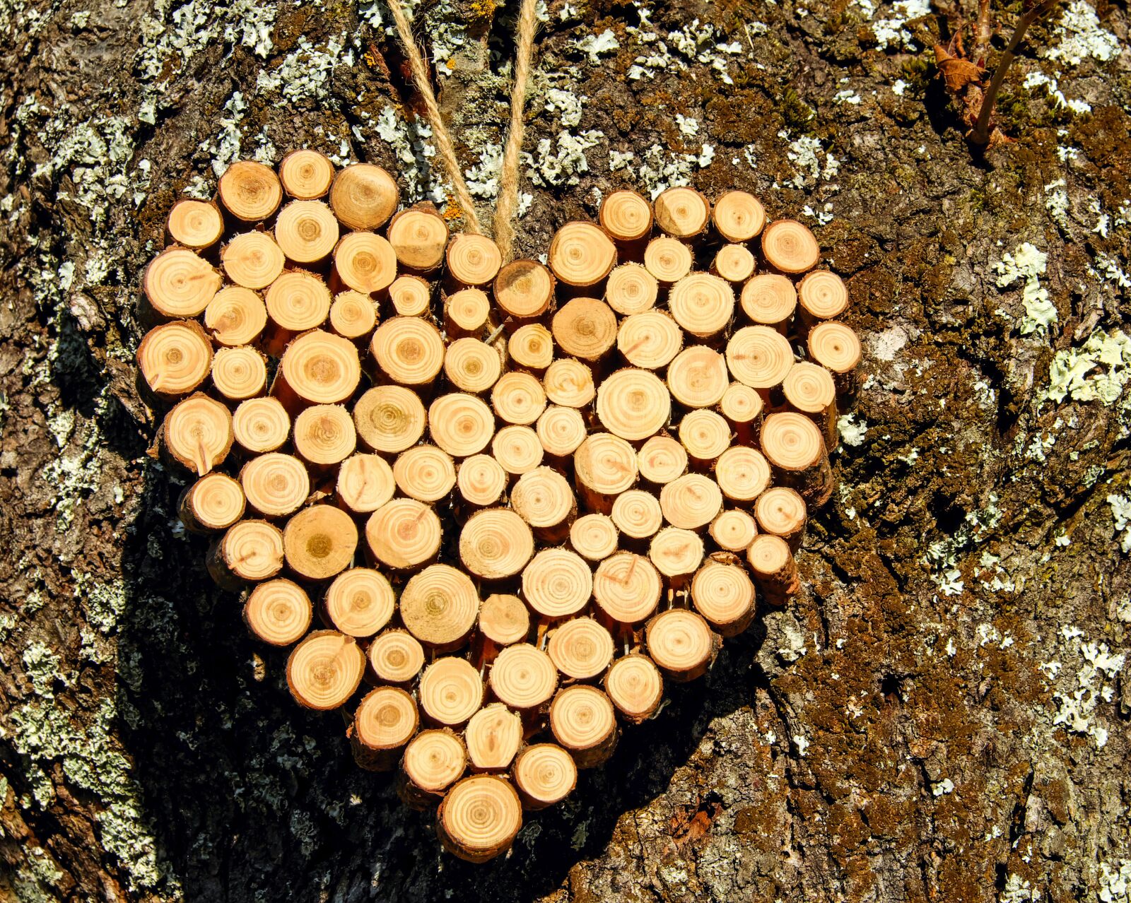 Fujifilm X-T10 sample photo. Heart, wood, wooden structure photography