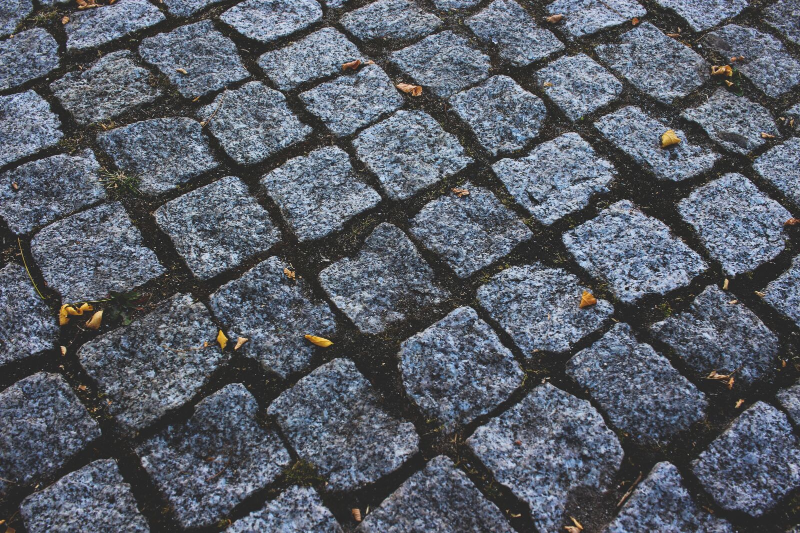 Canon EF-S 24mm F2.8 STM sample photo. Stones, ground, paving stones photography