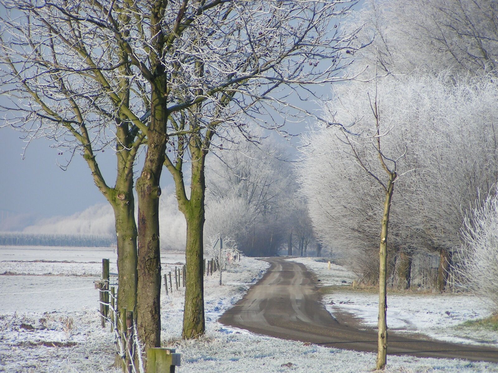 KONICA MINOLTA DiMAGE Z1 sample photo. Winter, ripe, landscape photography