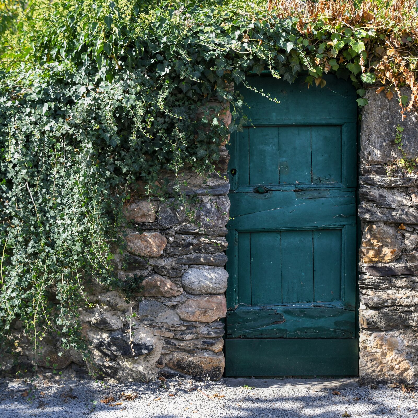Nikon D500 sample photo. Door, old, green photography