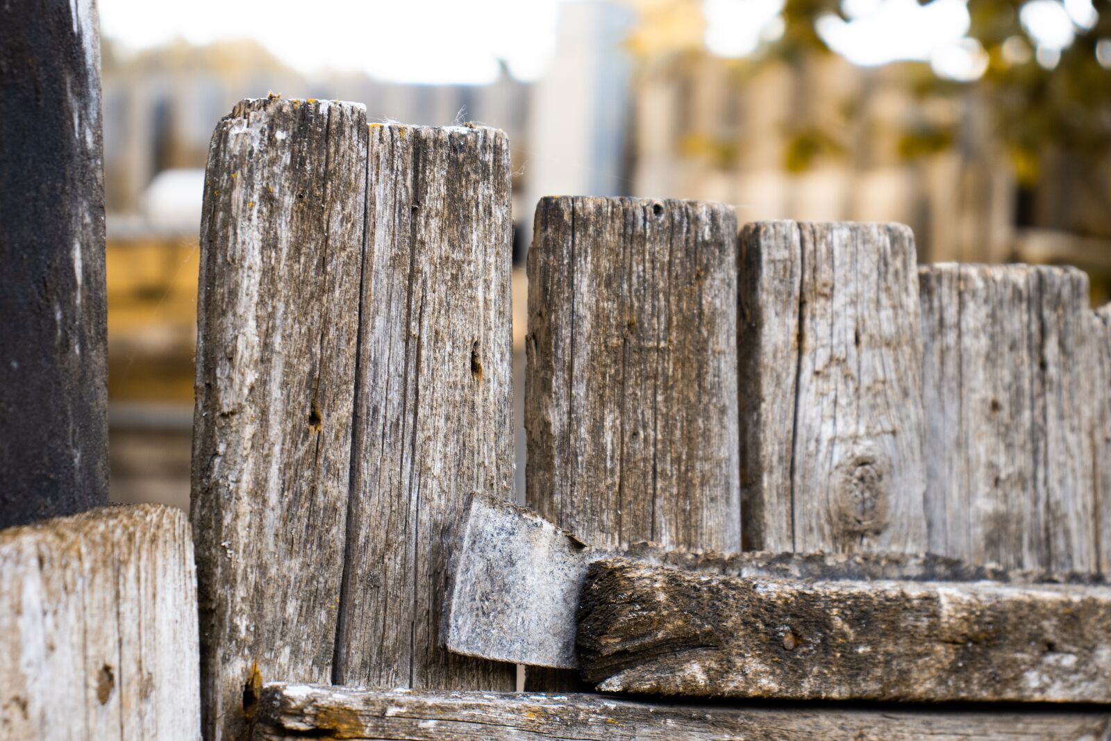 Canon EOS 200D (EOS Rebel SL2 / EOS Kiss X9) sample photo. Wood, door, input photography
