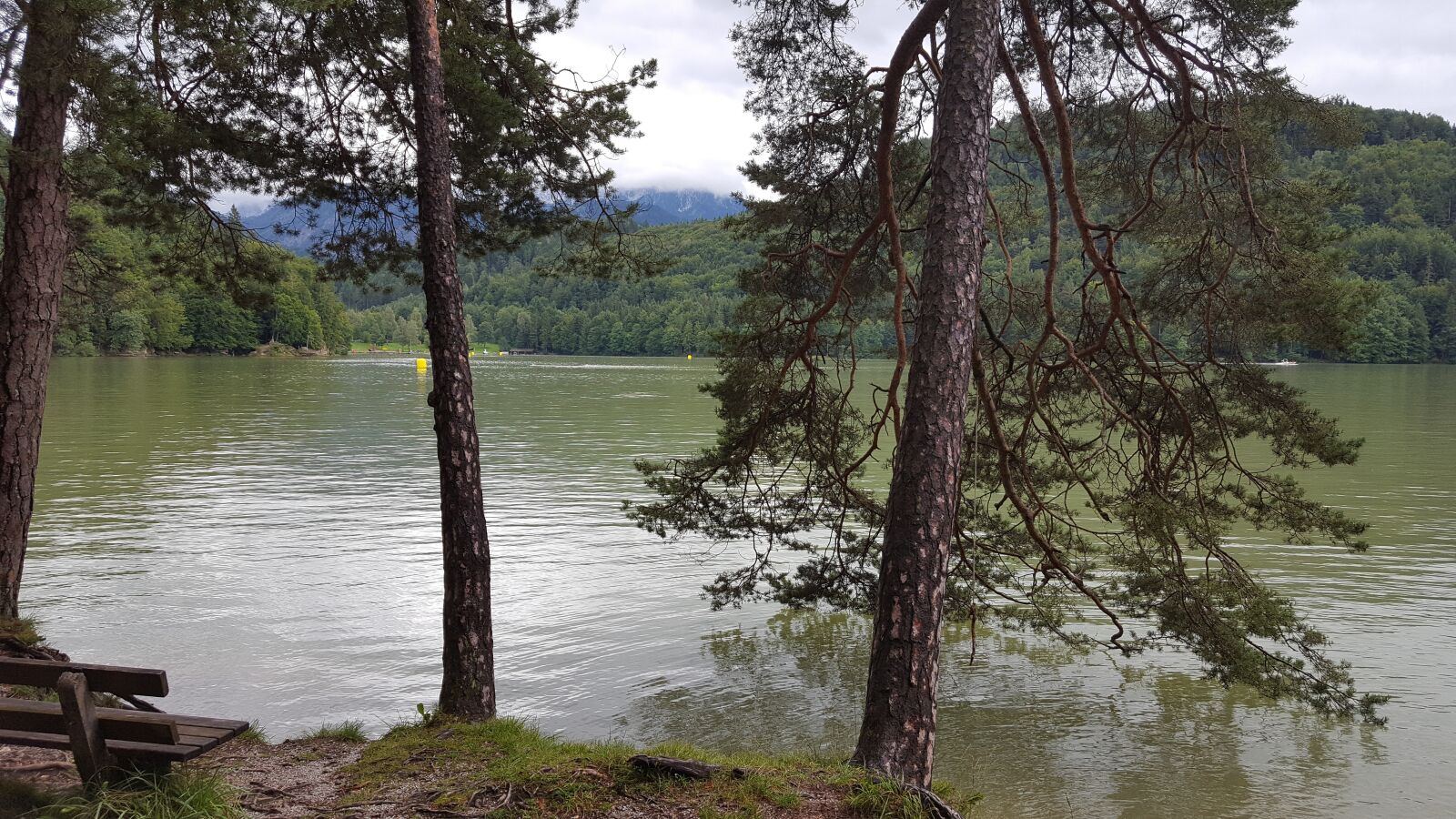 Samsung Galaxy S6 sample photo. Trees, bank, lake photography