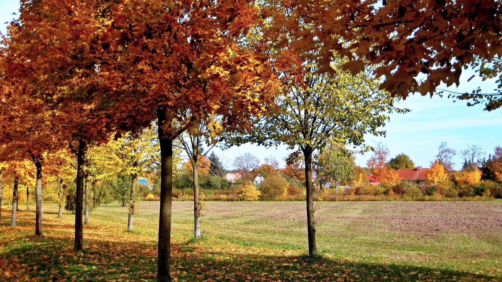 Canon DIGITAL IXUS 70 sample photo. Nature, autumn landscape, germany photography