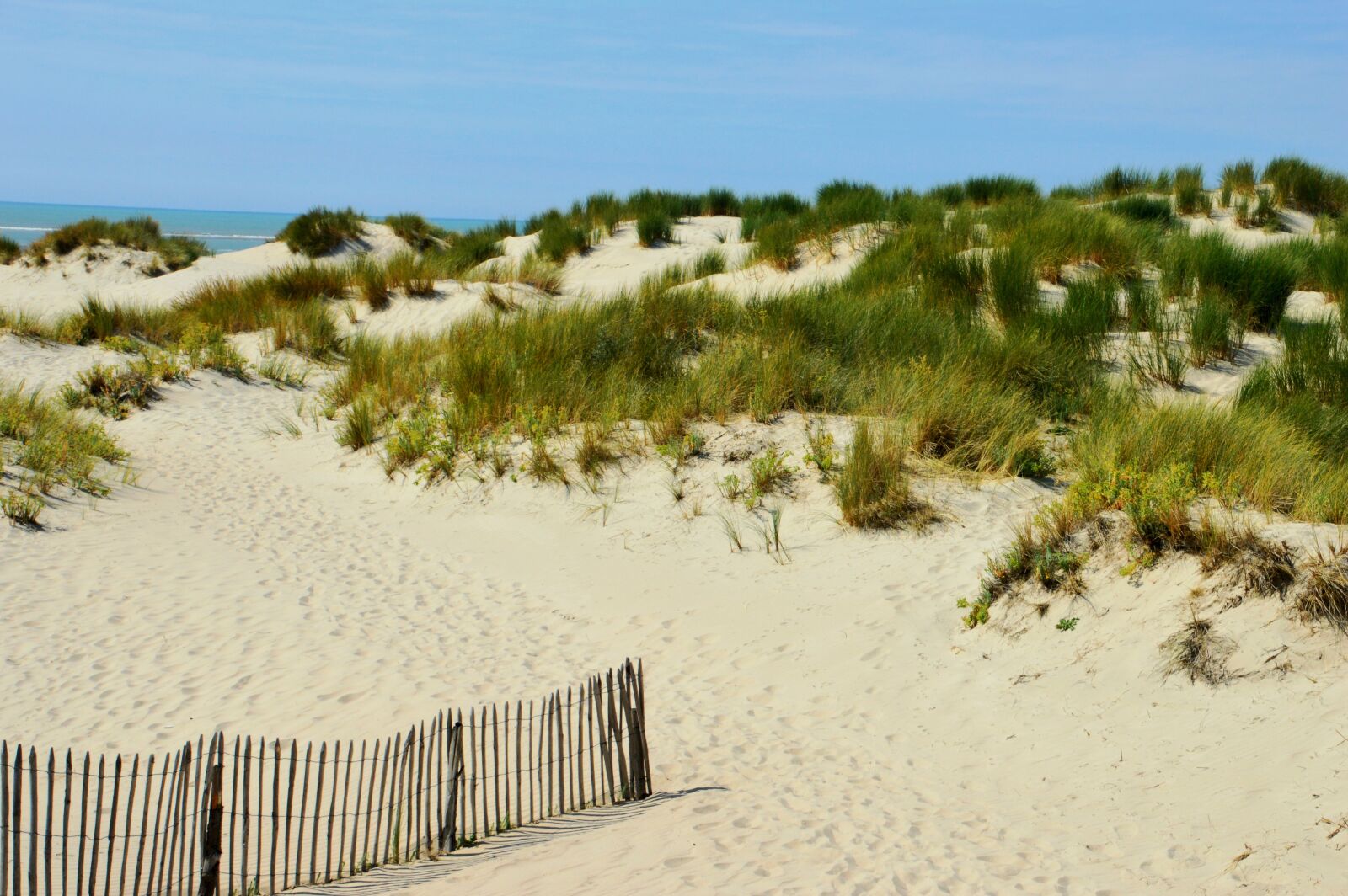 Nikon D3200 sample photo. Sea, beach, hauts de photography